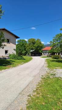 16. regijska orientacija_2026_Palčje_6